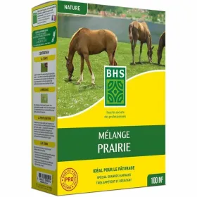 Sėklos BHS Mélange 500 g