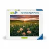 Palapeli Ravensburger Dandelions