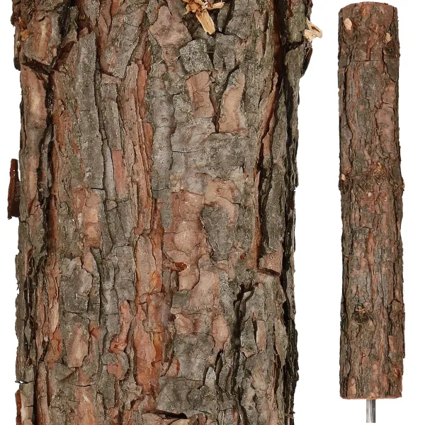 DIAMOND PINE ON A TRUNK 180 CM