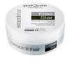 Postquam Extraordinhair Free Star Structuring Paste 100ml 