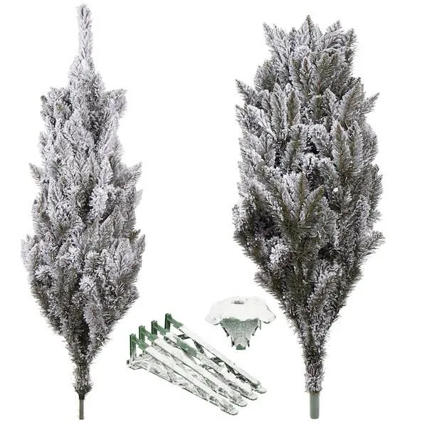 Kaukasian lumikuusi Springos CT0126 250cm