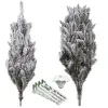 Caucasian snow fir Springos CT0126 250cm