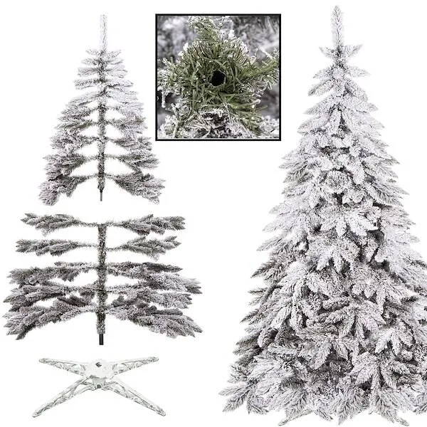 Kaukasian lumikuusi Springos CT0126 250cm