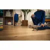 Jointed Figure Schleich Carcharodontosaurus