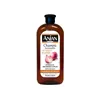 Anian Onion Anti Oxidant & Stimulating Effect Shampoo 400ml