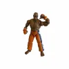 Jointed Figure Street Fighter