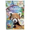 Lipdukų albumas Panini Animaux