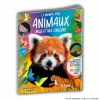 Kogumiskaartide album Panini Animaux