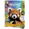 Tarra-albumi Panini Animaux