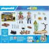 Playset Playmobil 71805 41 Dalys