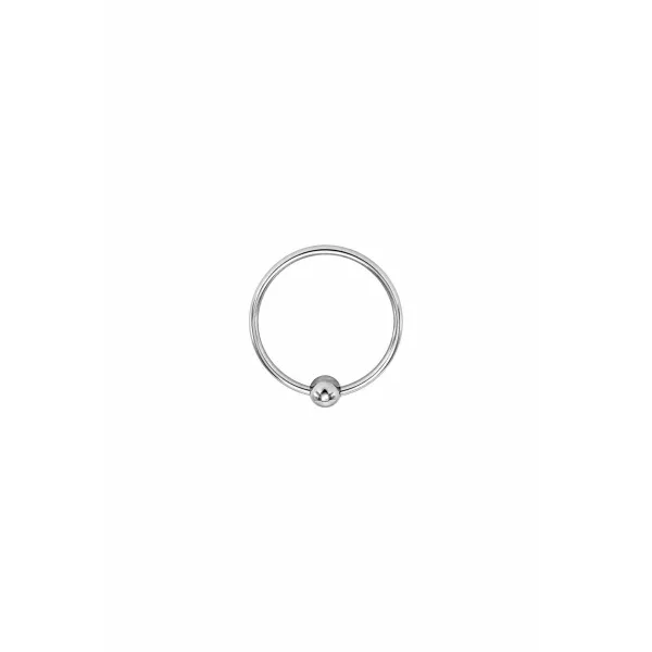 Cock Ring Locked 27 mm Steel