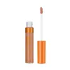 Rimmel London Lasting Radiance Concealer 060 Chestnut