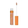 Rimmel London Lasting Radiance Concealer 070 Fawn