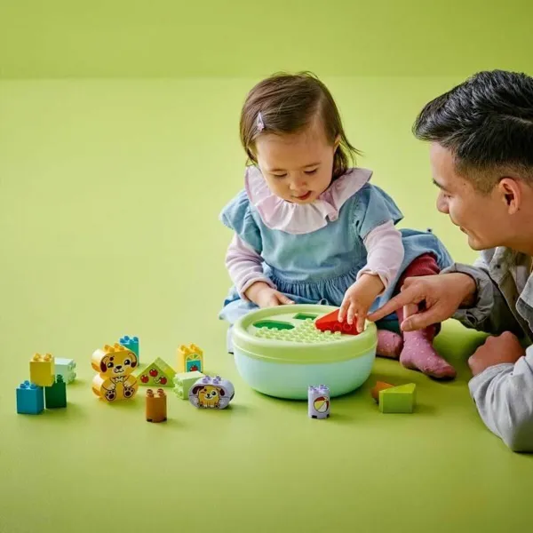 Rakennussetti Lego duplo 10441 17 Kappaletta