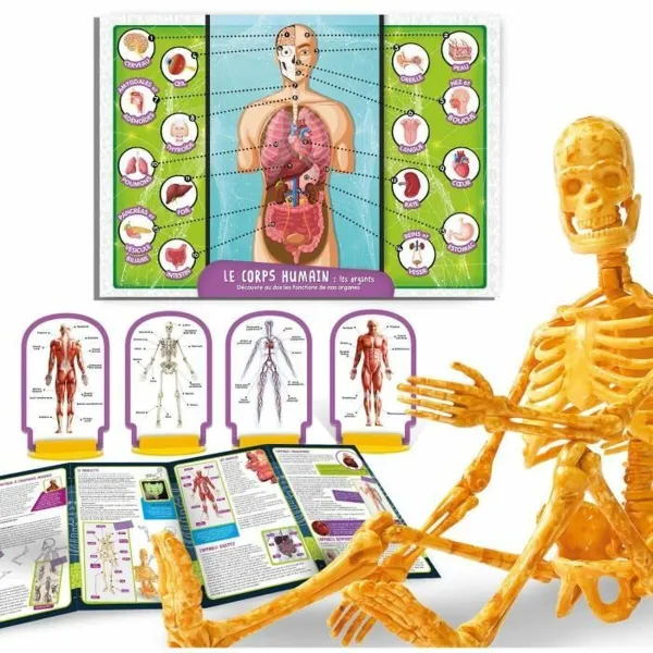 Tiedepeli Lisciani Giochi