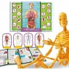 Science Game Lisciani Giochi