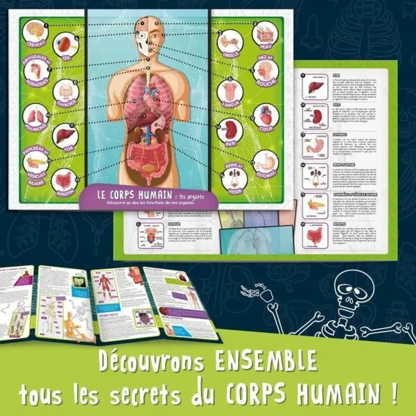 Tiedepeli Lisciani Giochi