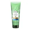 Bio:Renew Potent Aloe & Bamboo Conditioner 275ml