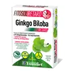 Ynsadiet Ginkgo Biloba Fitosol Retard 30 Comp