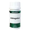 Equisalud Holofit Astragalus 50 Cap