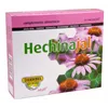 Herdibel Hechinajal 16 Unicadose X 10ml