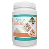 Tegor Natur Silicio 300g Polvo