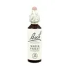 Bach 34 Water Violet 20ml