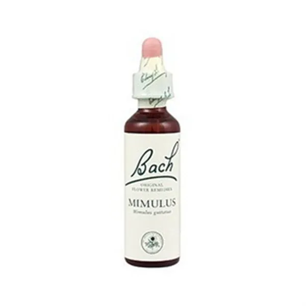 Bach 06 Cherry Plum 20ml