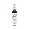 Bach 06 Cherry Plum 20ml