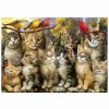 Puzzle Educa Gatitos y Pájaros 500 Pieces