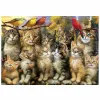 Palapeli Educa Gatitos y Pájaros 500 Kappaletta