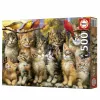 Dėlionė Educa Gatitos y Pájaros 500 Dalys