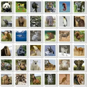 Atminties žaidimas Educa Identic Memo Animals