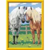 Набор для рисования Ravensburger