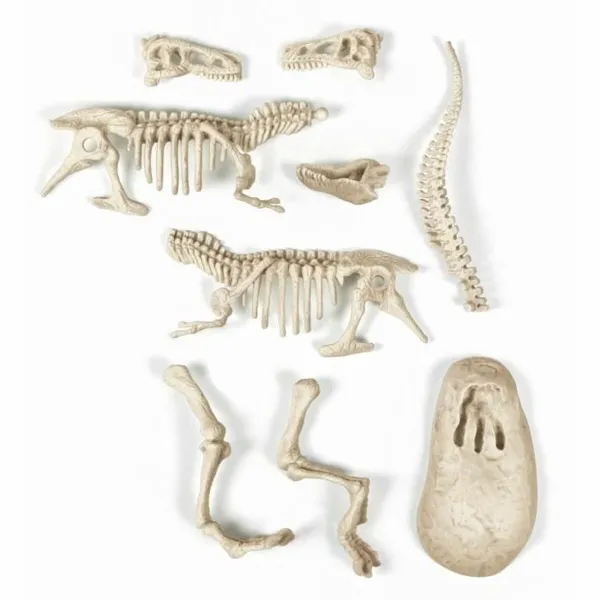Väljakaevamise Mäng Clementoni T-Rex fosforescente