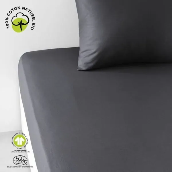 Fitted bottom sheet TODAY Black 160 x 200 cm
