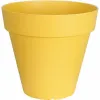 Pušķi Riviera Dzeltens Ø 60 cm