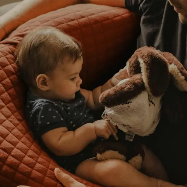 Breastfeeding Cushion Béaba Terrakotta