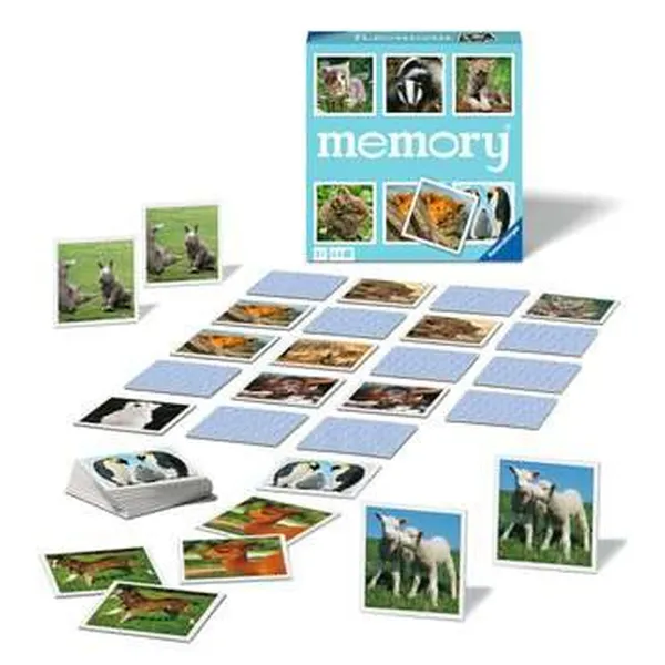 Образовательный набор Ravensburger 020879