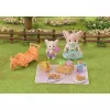 Playset Sylvanian Families 5698 iškyla