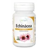 Sanon Echinácea 100 Comprimidos De 500 Mg