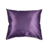 Beauty Pillow Aubergine 60x70cm 1 Unit