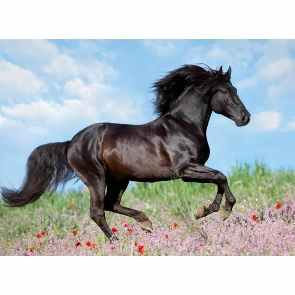Puzle un domino komplekts Ravensburger 12803 Black Stallion XXL 200 Daudzums