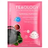 Teaology Blue Tea & Hyaluronic Acid Brightening Moisturising Mask 21ml