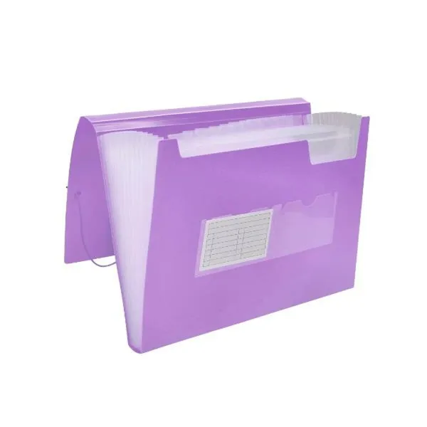 Папка-классификатор Liderpapel FU40 A4