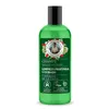 Green Agafia 7 Hierbas De La Taiga Champu Natural 260ml