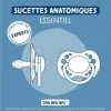 Tutti Dodie (2 Kappaletta) (2 osaa)