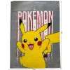 Одеяло Pokémon Жёлтый Животные