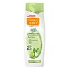 Natural Honey Wash y Go Champú Graso 400ml