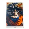 Huopa Dragon Ball Oranssi eläimet